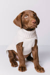 CABLE DOG SWEATER