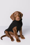 CABLE DOG SWEATER