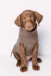 CABLE DOG SWEATER